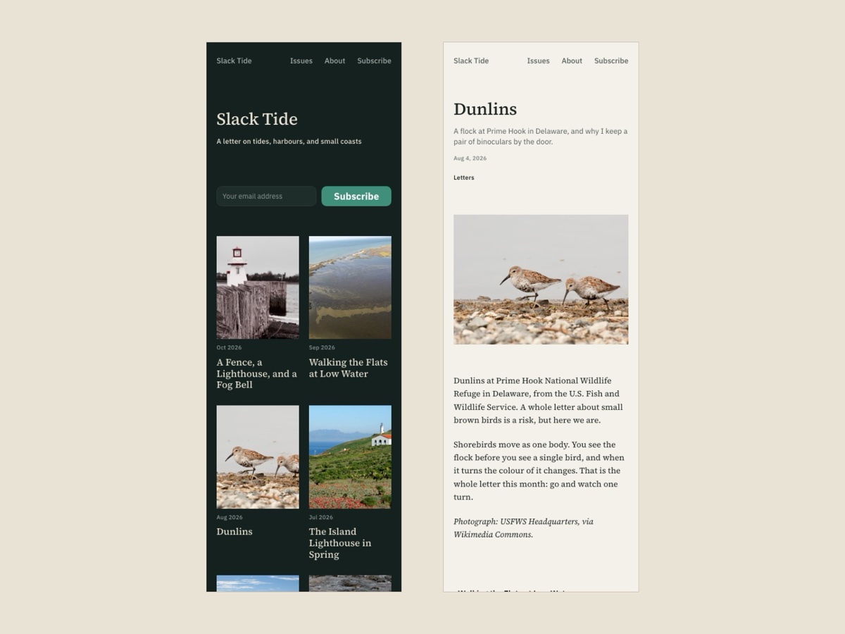 Slack Tide on a phone: the archive in dark and an issue in light
